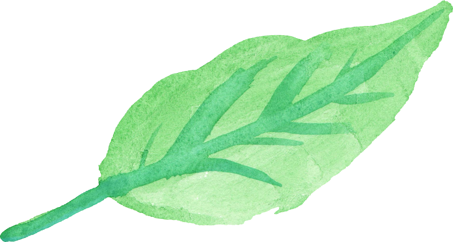 Download Image - Watercolor-leaf-4.png | Animal Jam Clans Wiki ...