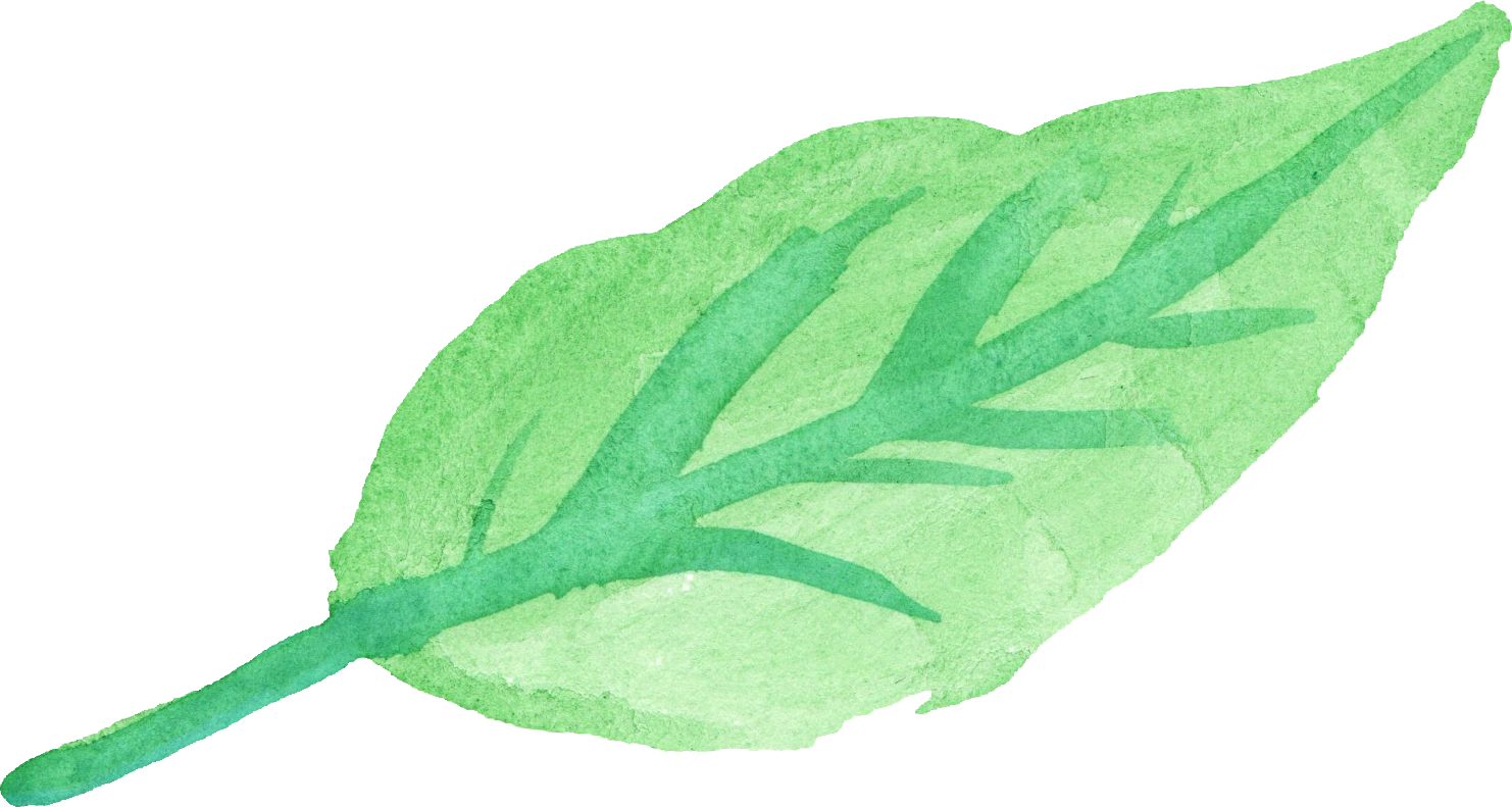 Download Image - Watercolor-leaf-4.png | Animal Jam Clans Wiki ...