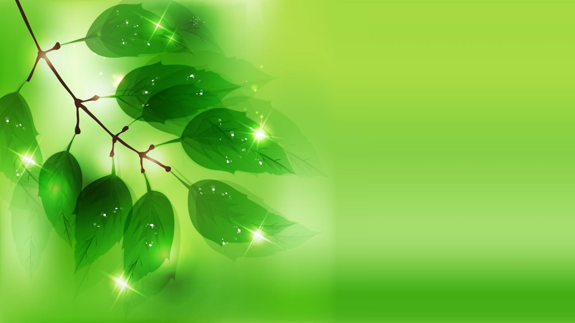 image green wallpaper 7 jpg animal jam clans wiki fandom