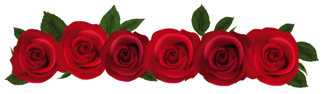 Image - Red rose line.png | Animal Jam Clans Wiki | FANDOM powered by Wikia