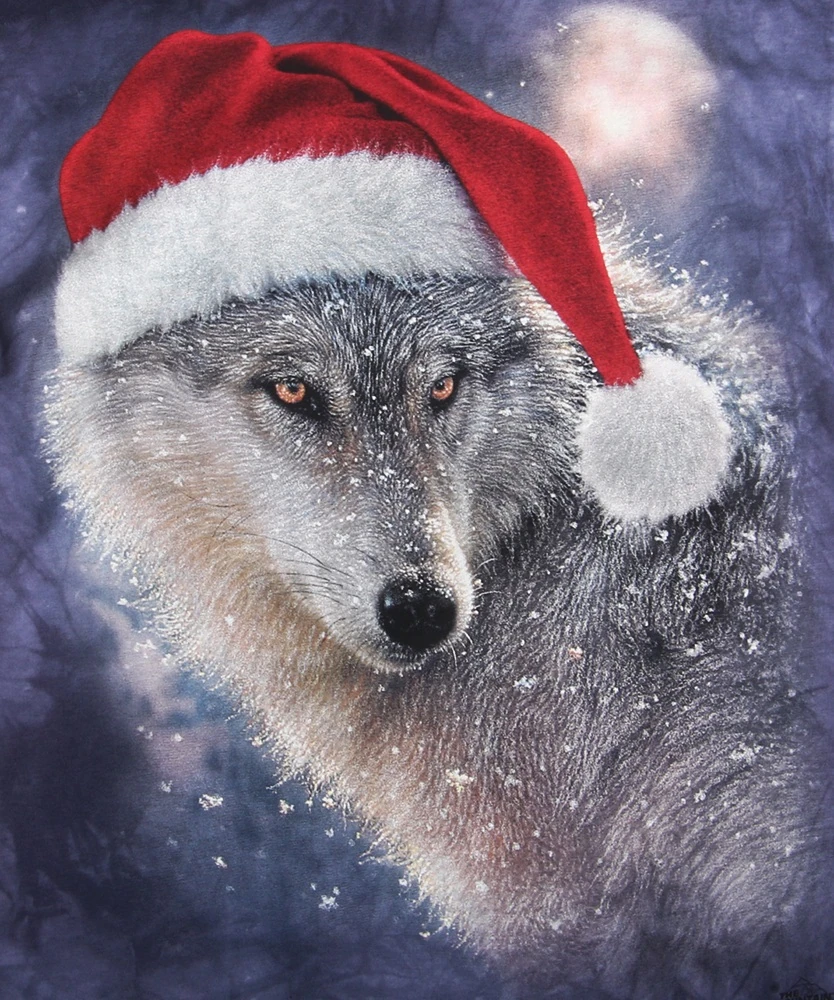 Christmas Wolf Pictures 