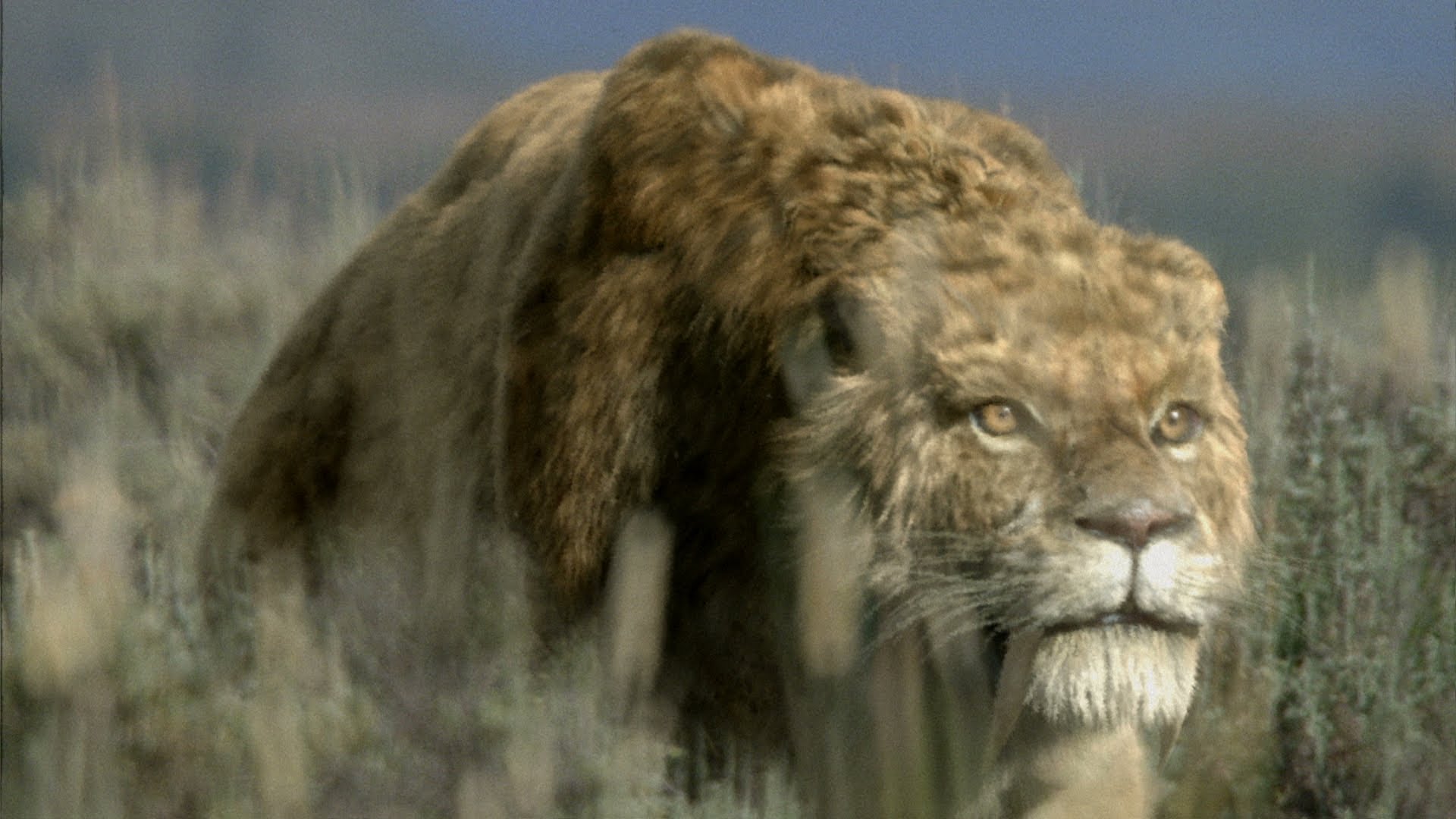 Image - 1OTVP9r-saber-tooth-tiger-wallpaper.jpg | Animal Jam Clans Wiki
