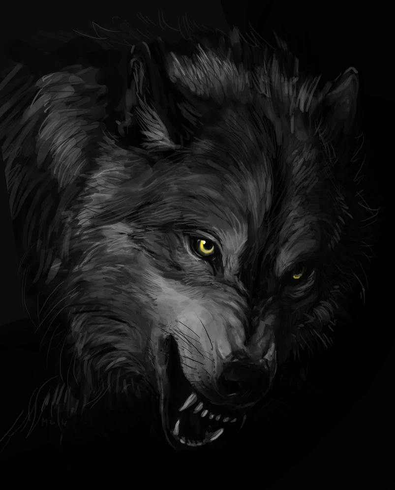 Image - Dark wolf by artistmalucas-da3r3xj.jpg | Animal Jam Clans Wiki