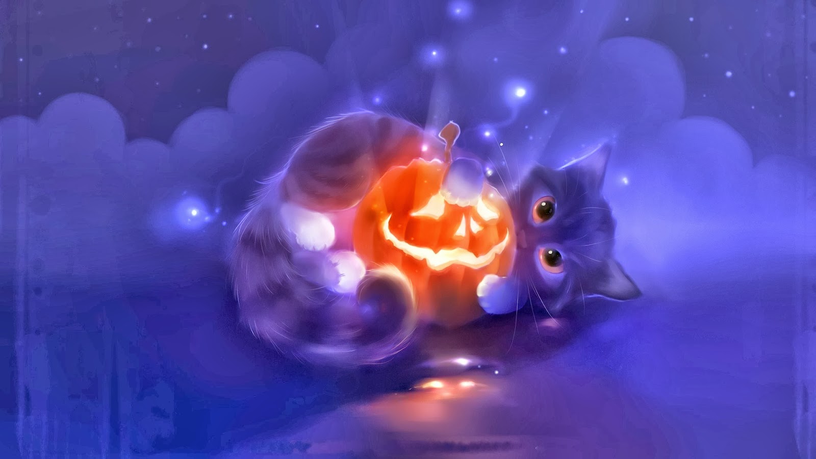 Image Halloween Cute Pumpkin Head Cat Holiday Hd Wallpaper Jpg