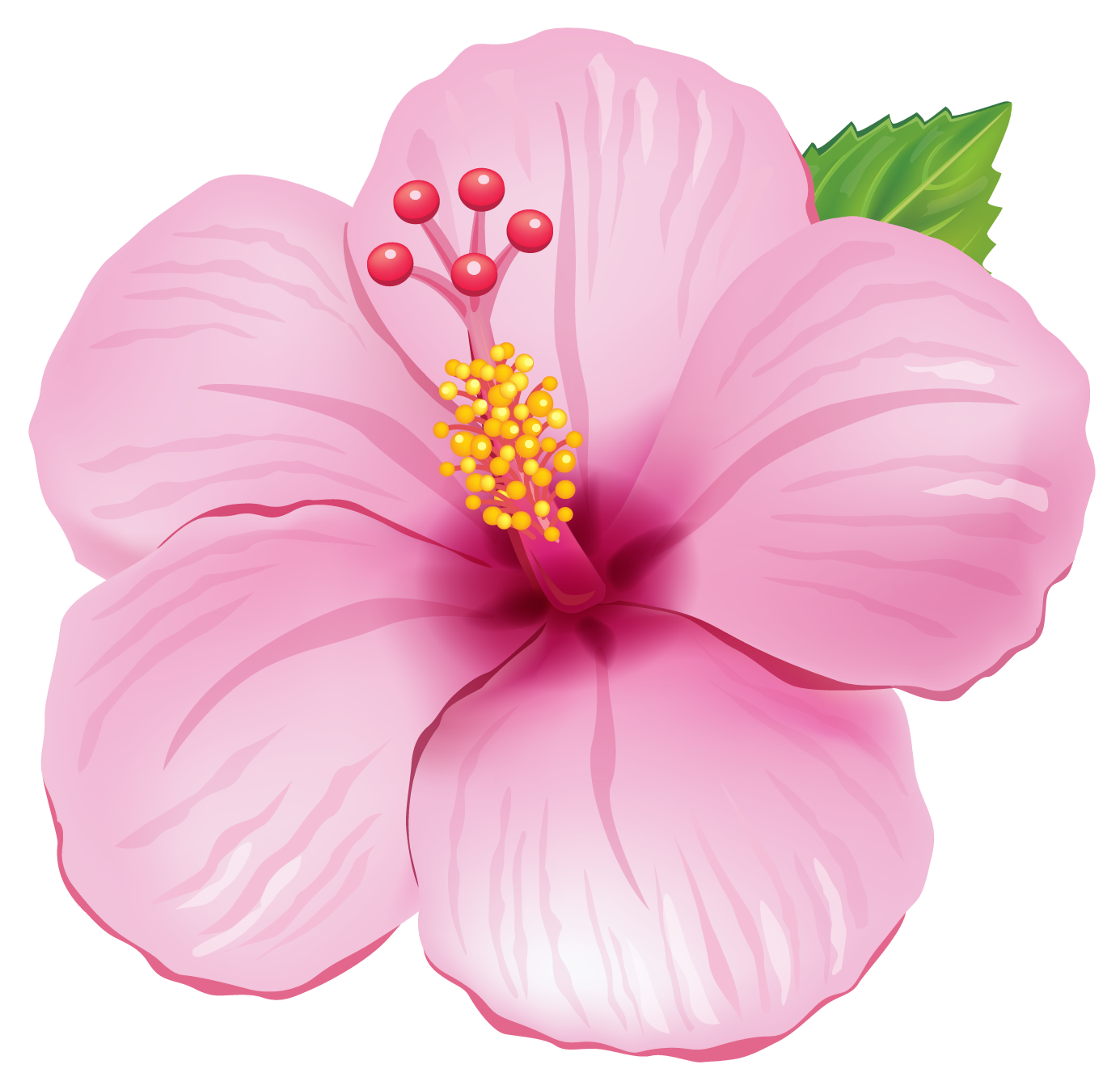 Image - Pink Exotic Flower PNG Clipart Picture.png | Animal Jam Clans