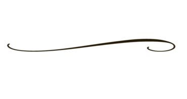 Image - Decorative black line.png | Animal Jam Clans Wiki | FANDOM