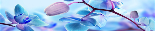 Orchid divider