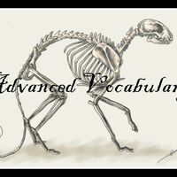 Advanced Vocabulary Clairvoyant Animal Groups Roleplay Wiki