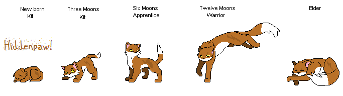 Warrior Cats Wiki Sprites