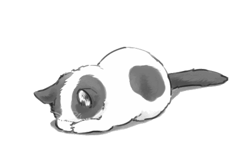 image cute anime cat transparent 442226 png animal jam clans