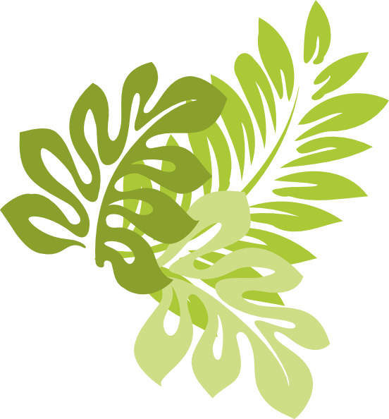 Image - Jungle leaves.png | Animal Jam Clans Wiki | FANDOM powered by Wikia