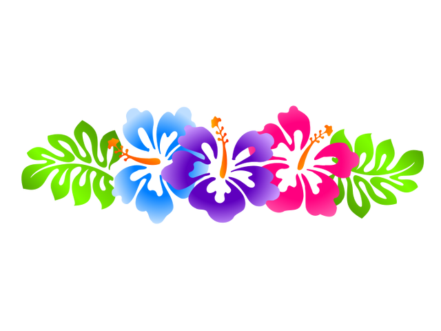 File:Luau-clip-art-borders-free-hibiscus-line-border.svg | Animal Jam
