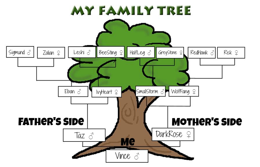 image family tree clip art templates 9ize9rrgt jpg animal jam