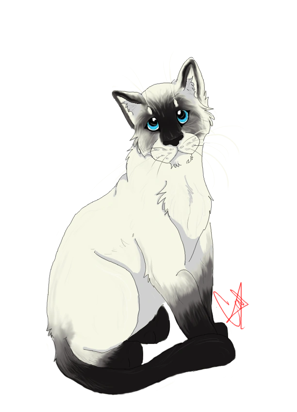 Image Siamese by soulwarrior18d6pm174.png Animal Jam Clans Wiki FANDOM powered by Wikia