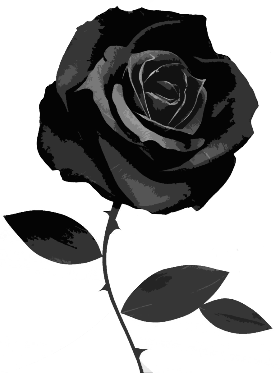 Image - 36274950-black-rose-images.png | Animal Jam Clans Wiki | FANDOM