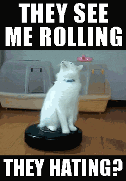 image funny cat they see me rolling they hating s roomba cat favim