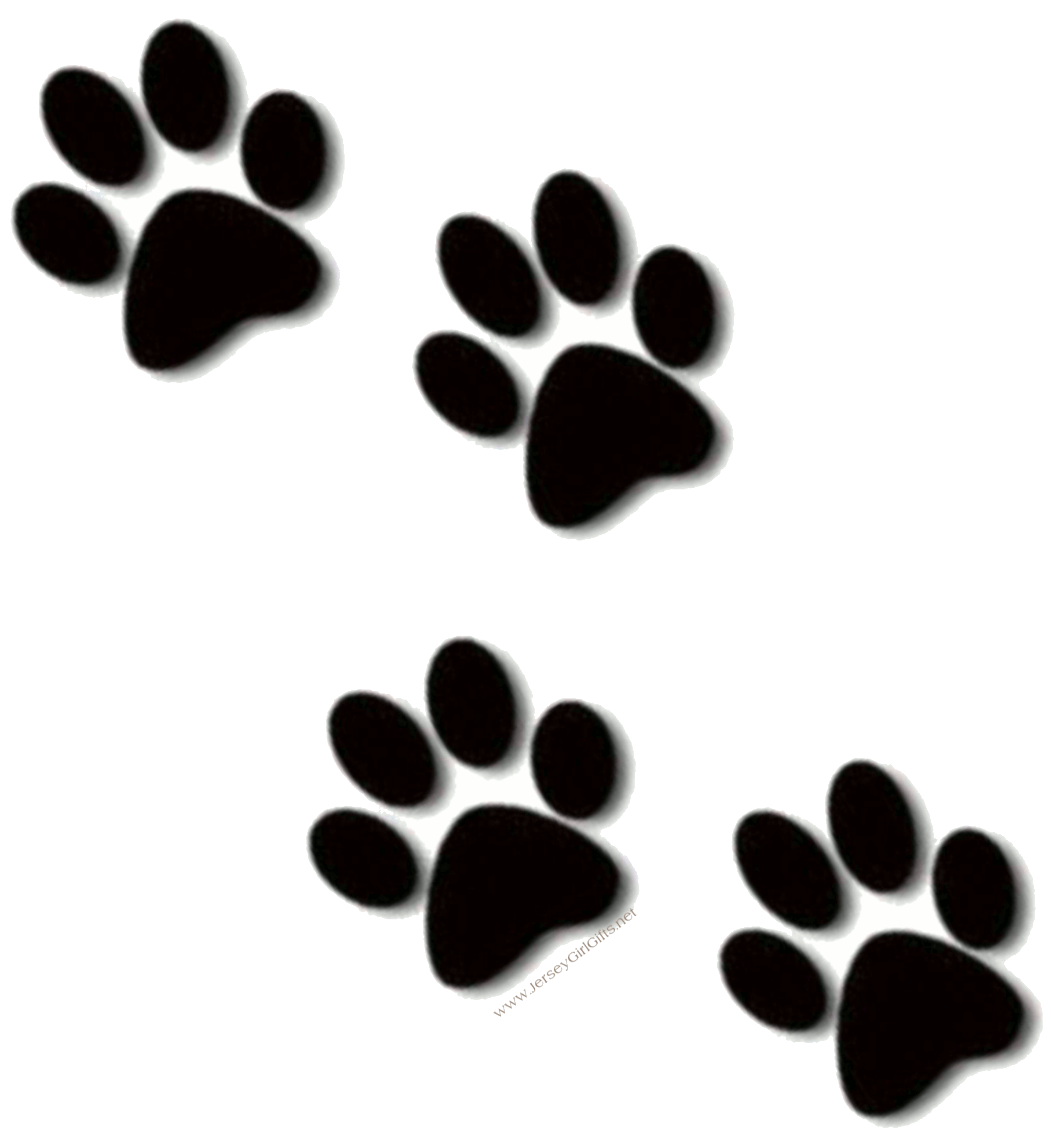 dog and cat paw print