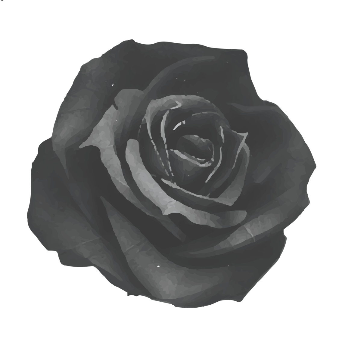 Image - Rose.jpg.png | Animal Jam Clans Wiki | FANDOM powered by Wikia