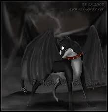 Images-1450313645