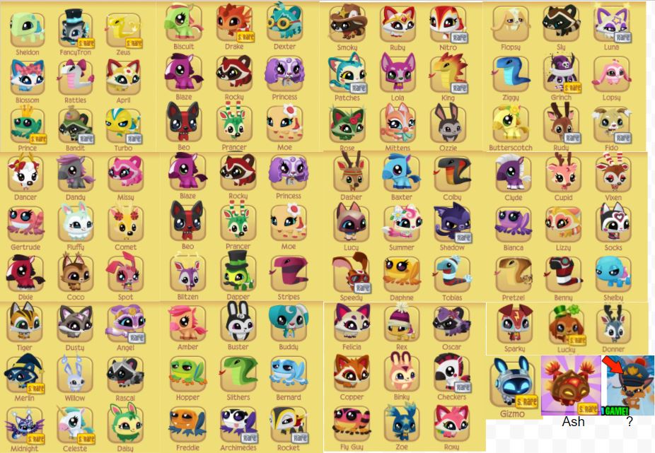 Pets Animal Jam Dash Tag Wiki FANDOM powered by Wikia