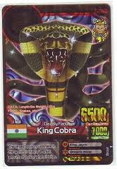 King cobra