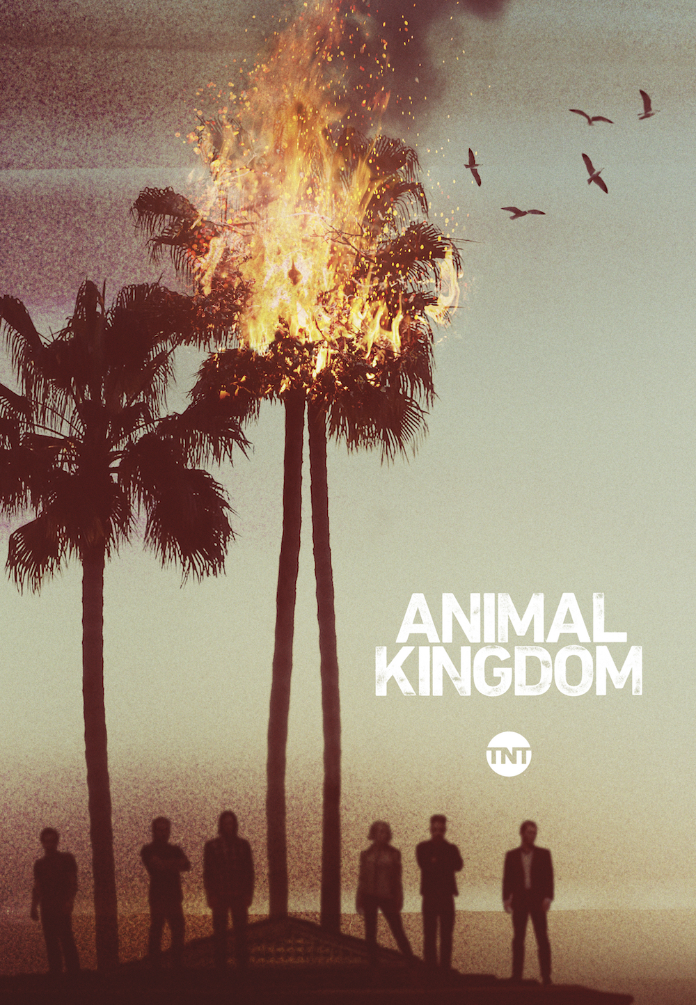 Bild - TNT AnimalKingdom Poster.jpg | Animal Kingdom Wiki | FANDOM