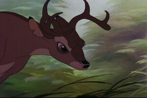 Bambi 353