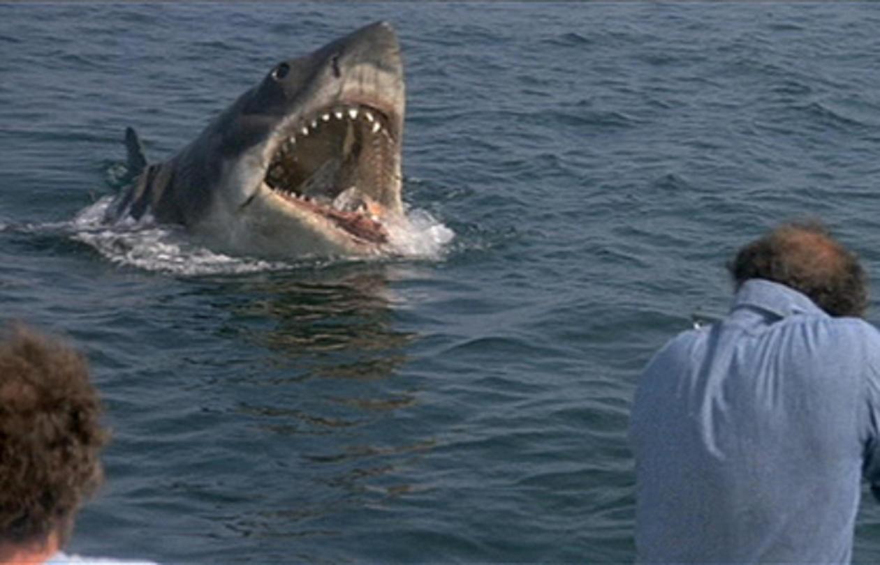 Is Bruce the shark a villain?