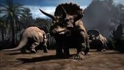 Triceratops animal armageddon
