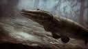 Tiktaalik animal armageddon