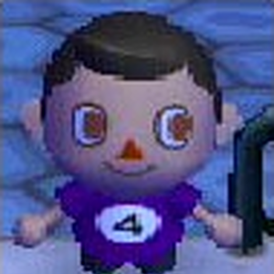 Die Taxifahrt Animal Crossing Wild World Wiki Fandom
