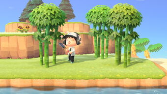 animal crossing bamboo shoots new horizons