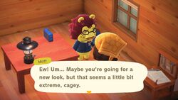 Mott | Animal Crossing Wiki | Fandom