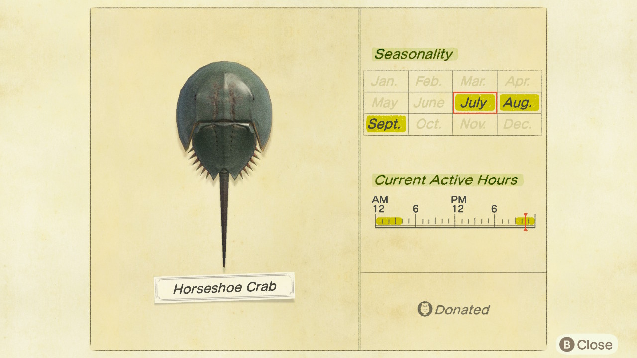 Guide: Deep Sea Creatures Available In July For Animal Crossing: New  Horizons – NintendoSoup