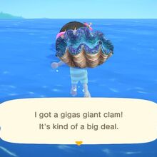 giant clam shell animal crossing