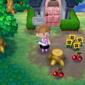 Special Stump Patterns Animal Crossing Wiki Fandom