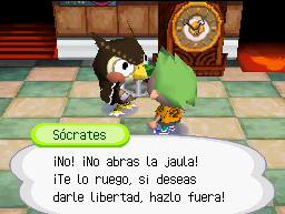 Soc rec bicho