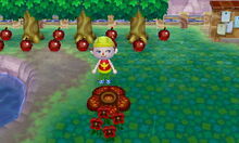 Rafflesia | Animal Crossing Enciclopedia | FANDOM powered by Wikia