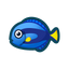 NH-Icon-surgeonfish