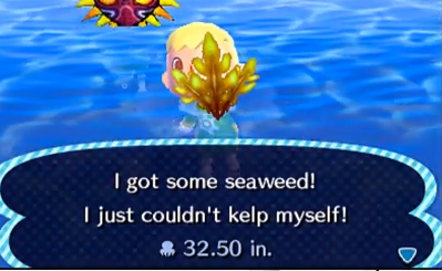 Seaweed | Animal Crossing Wiki | FANDOM powered by Wikia