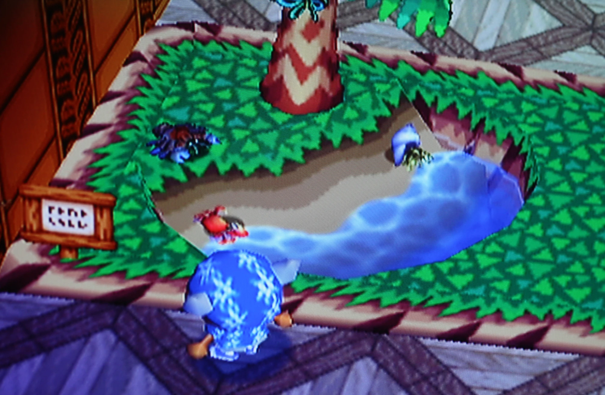 Hermit crab Animal Crossing Wiki FANDOM powered by Wikia