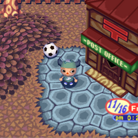 Balls Animal Crossing Wiki Fandom