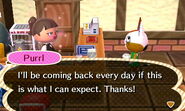 Purrl | Animal Crossing Wiki | FANDOM powered by Wikia