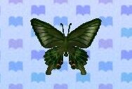 Peacock Butterfly Animal Crossing Wiki Fandom
