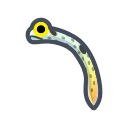 NH-Icon-spottedgardeneel