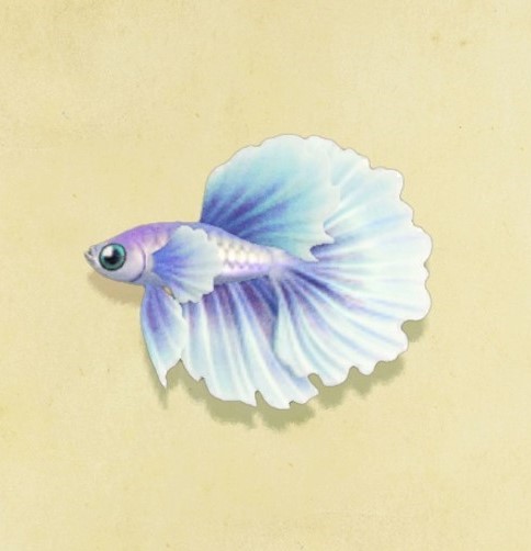 Betta | Animal Crossing Wiki | Fandom