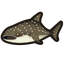 NH-Icon-whaleshark