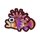 Zebra Turkeyfish