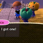 Halloween Animal Crossing Wiki Fandom