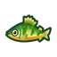 NH-Icon-yellowperch